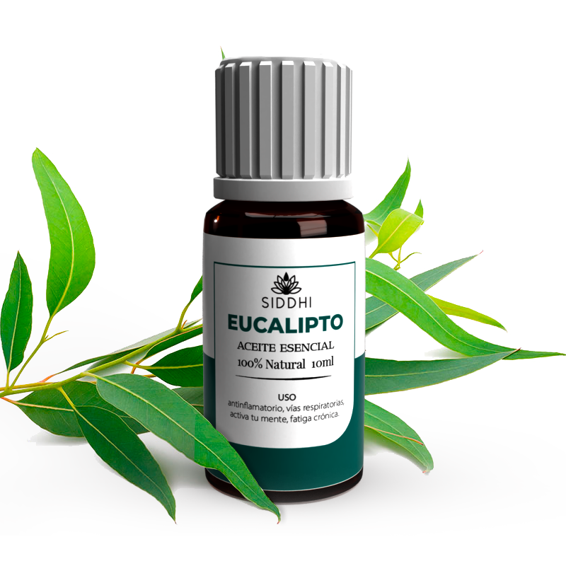 Aceite Esencial de Eucalipto
